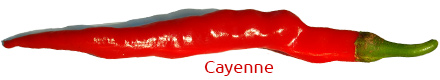 chili cayenne frucht