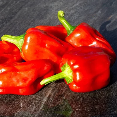 Big Jamaican Chili
