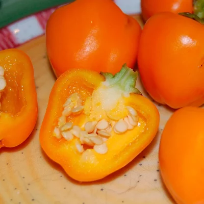 Paprika Miniature Yellow