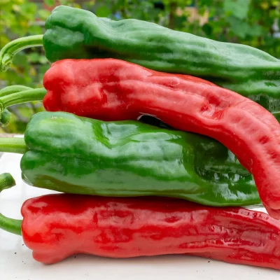 Paprika Dulce Italiano