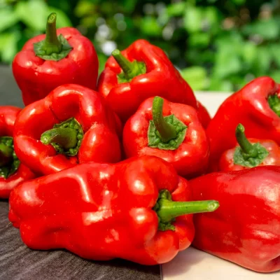 Leutschauer Paprika Früchte