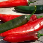 Chili 'Lingua di Satana' Samen