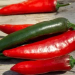 Chili 'Lingua di Satana' Samen – Bild 2