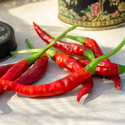 Chili Takanotsume Früchte