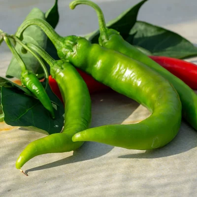 Chili Aci Biber Sivri Früchte