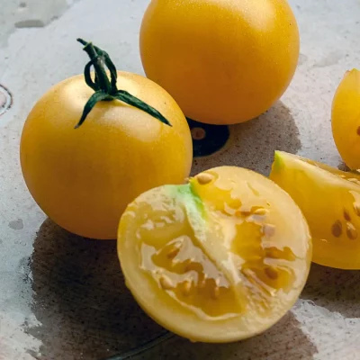 Tomate Weißleinchen