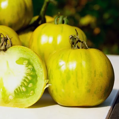 Tomate Green Bellpepper
