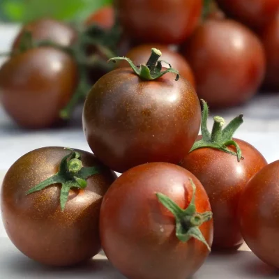 Kirschtomate Brown Berry