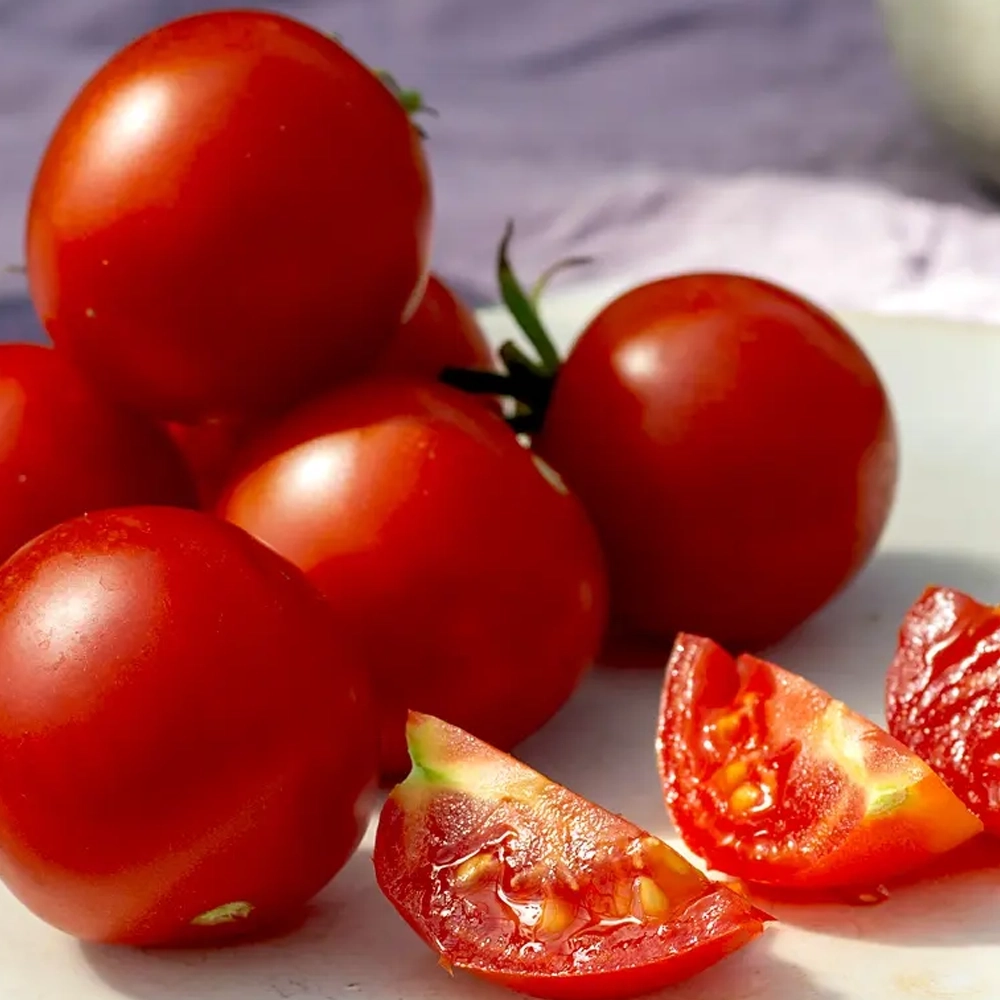 Tomate Haubners Vollendung