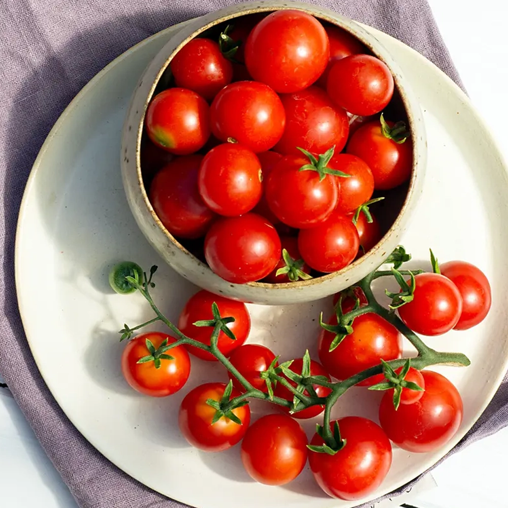 Tomate Tiny Tim