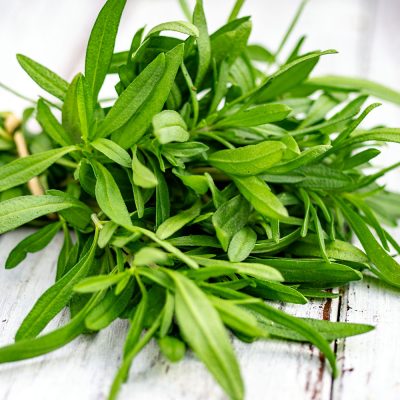 Bohnenkraut