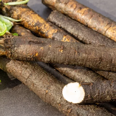 Schwarzwurzel Hoffmanns schwarze Pfahl